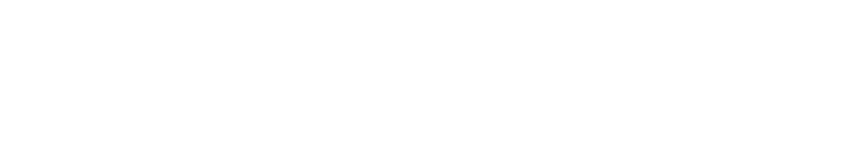 Leo Marine Diesel